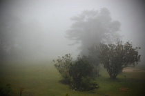 Foggy Baguio